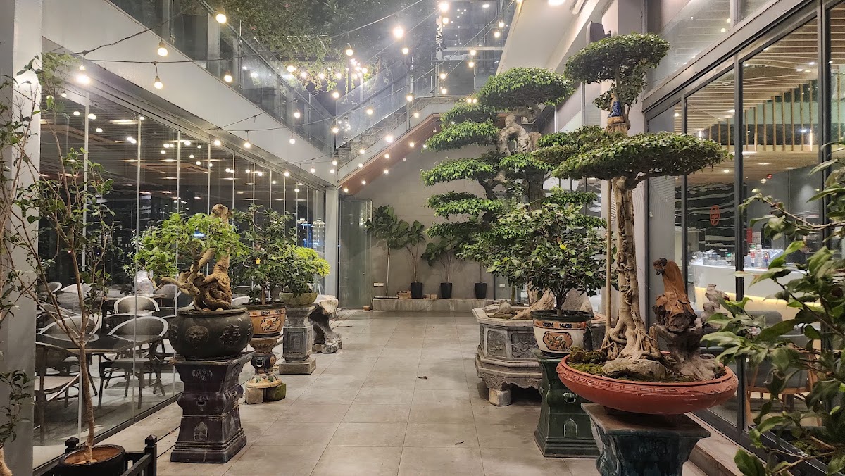 Review địa điểm 6 Degrees trên Google Maps